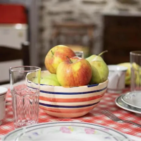 Little Gem Δρυόπη