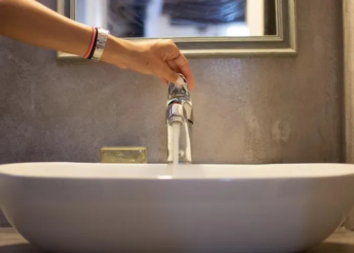 Little Gem Dhriopís