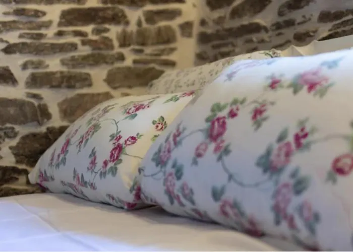 Apartment Little Gem *