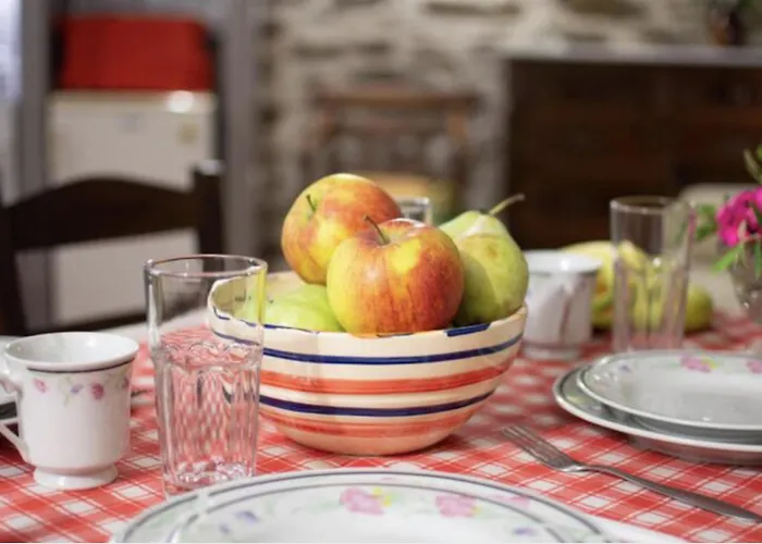 Little Gem Dhriopís